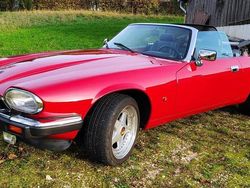 Rot Gebraucht 1993 Jaguar XJS Cabrio | 32.500 €