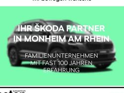 Grau Gebraucht 2025 Skoda Kodiaq RS SUV | 58.490 € (Fairer Preis)