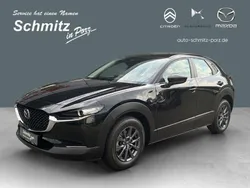 Bronze Neu 2025 Mazda CX-30 Prime-Line SUV | 26.699 €