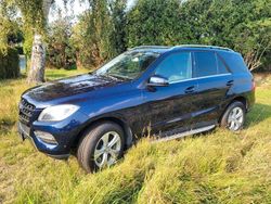 Blau Gebraucht 2014 Mercedes ML350 SUV | 27.450 € (Etwas zu teuer)