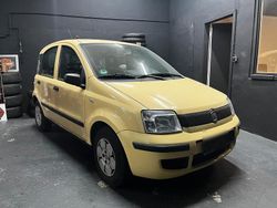 Gelb Gebraucht 2009 Fiat Panda Kleinwagen | 1.699 € (Superpreis)