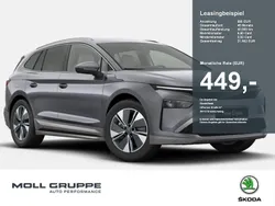 Grau Neu 2025 Skoda Enyaq iV ecoSuite SUV | 53.490 € (Etwas zu teuer)