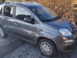 Grau Gebraucht 2020 Fiat Panda Kleinwagen | 7.999 € (Superpreis)