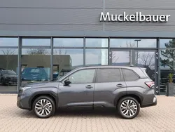 Grau Gebraucht 2025 Subaru Forester Platinum SUV | 42.595 € (Fairer Preis)