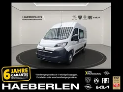 Cassablanca weiß Neu 2024 Opel Movano Van | 26.168 €