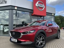 Rot Gebraucht 2020 Mazda CX-30 Selection SUV | 19.900 € (Fairer Preis)