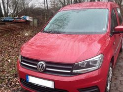 Rot Gebraucht 2017 VW Caddy Trendline Van / Kleinbus | 22.999 € (Teuer)