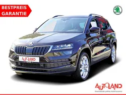 Braun Gebraucht 2019 Skoda Karoq Style SUV | 26.950 € (Fairer Preis)