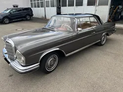 Grau Gebraucht 1962 Mercedes 220 Coupé | 39.900 €