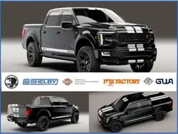 Schwarz Neu 2024 Ford Shelby SUV | 189.900 €