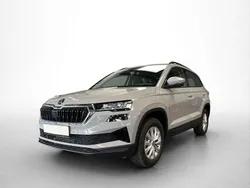 Steelgrey (3m3m) Neu 2025 Skoda Karoq Selection SUV | 30.740 € (Superpreis)