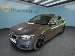 Grau Gebraucht 2020 BMW 218 Advantage Coupé | 21.649 € (Fairer Preis)