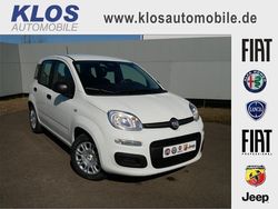 Weiss Neu 2025 Fiat Panda Kleinwagen | 14.990 € (Fairer Preis)