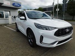 Weiß Neu 2025 Ford Kuga ST-Line X SUV | 38.690 € (Guter Preis)