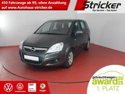 Silber Gebraucht 2009 Opel Zafira Edition Van / Kleinbus | 3.949 € (Etwas zu teuer)
