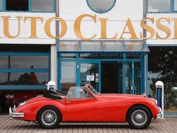 Rot Gebraucht 1954 Jaguar XK Cabrio | 99.900 €