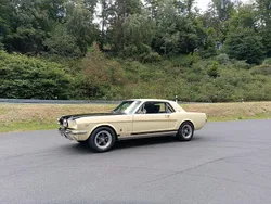Gelb Gebraucht 1965 Ford Mustang Coupé | 29.999 €