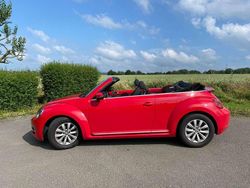 Rot Gebraucht 2016 VW Beetle Design Cabrio | 14.999 € (Fairer Preis)