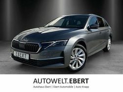 Graphitegrau Gebraucht 2024 Skoda Octavia Selection Kombi | 30.890 € (Guter Preis)