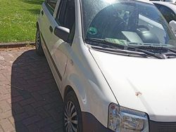 Weiß Gebraucht 2009 Fiat Panda Kleinwagen | 1.300 €