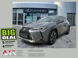 Mercury grey Gebraucht 2020 Lexus UX 250h SUV | 22.990 € (Guter Preis)