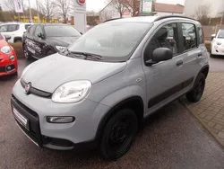 Grau Gebraucht 2019 Fiat Panda 4x4 Wild Kleinwagen | 14.980 € (Etwas zu teuer)