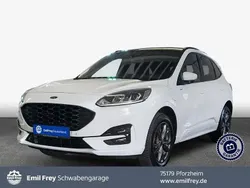Weiß frozen white Gebraucht 2022 Ford Kuga ST-Line SUV | 24.450 € (Guter Preis)