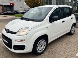 Weiß Gebraucht 2019 Fiat Panda Easy Kleinwagen | 6.600 € (Fairer Preis)