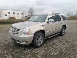 Grau Gebraucht 2010 Cadillac Escalade SUV | 22.500 € (Superpreis)