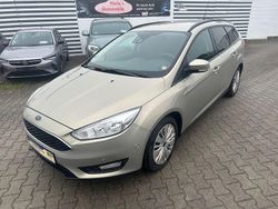 Grau Gebraucht 2014 Ford Focus Business Edition Kombi | 6.995 € (Fairer Preis)