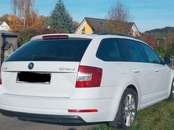 Weiß Gebraucht 2017 Skoda Octavia Drive Kombi | 11.300 € (Guter Preis)