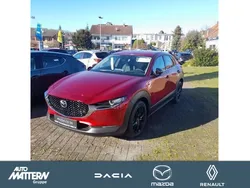 Rot Gebraucht 2022 Mazda CX-30 Homura-Line SUV | 25.190 € (Fairer Preis)