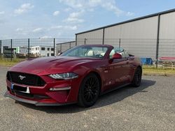 Rot Gebraucht 2019 Ford Mustang GT Cabrio | 49.500 €