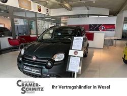 Foresta grün / dach schwarz Neu 2025 Fiat Panda Cross Cross Kleinwagen | 19.490 €