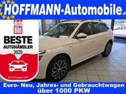 Candyweiss Gebraucht 2020 Skoda Kamiq Ambition SUV | 19.690 € (Fairer Preis)