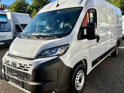 Weiß Neu 2025 Fiat Ducato Van | 33.900 € (Fairer Preis)