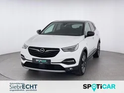 Othercolor Gebraucht 2019 Opel Grandland X SUV | 16.470 € (Etwas zu teuer)