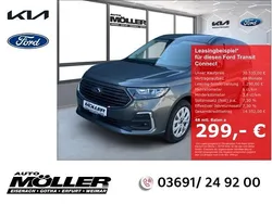 Grau Neu 2025 Ford Transit Limited Van | 30.535 € (Fairer Preis)
