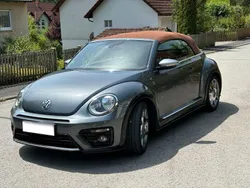 VW Beetle