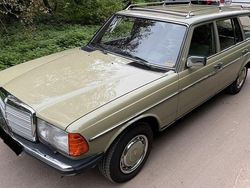 Grün Gebraucht 1982 Mercedes 200 Kombi | 6.300 €
