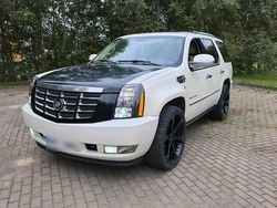 Weiß Gebraucht 2009 Cadillac Escalade SUV | 12.000 €