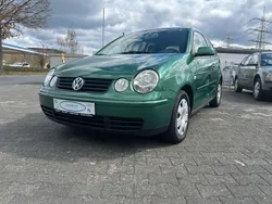 Grün Gebraucht 2004 VW Polo Cricket Kleinwagen | 1.600 € (Fairer Preis)