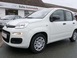 Gelato weiss Neu 2025 Fiat Panda Kleinwagen | 14.990 € (Fairer Preis)
