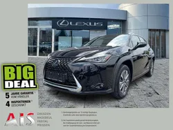 Schwarz Gebraucht 2022 Lexus UX 300e SUV | 27.990 € (Guter Preis)
