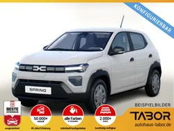 Othercolor Gebraucht 2022 Dacia Spring Essentiel Kleinwagen | 13.885 € (Etwas zu teuer)