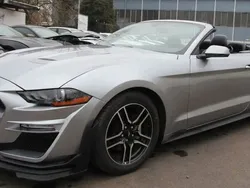 Grau Gebraucht 2019 Ford Mustang Convertible Cabrio | 27.000 € (Guter Preis)