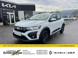 Andere farbe Gebraucht 2022 Dacia Sandero Expression Kleinwagen | 18.950 € (Etwas zu teuer)