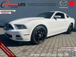 Weiß Gebraucht 2015 Ford Mustang Coupé | 18.990 €