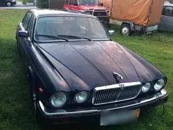 Blau Gebraucht 1986 Jaguar XJ6 Limousine | 6.190 €