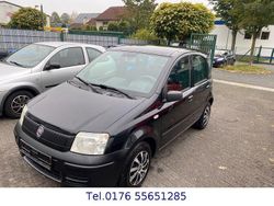 Schwarz Gebraucht 2009 Fiat Panda Kleinwagen | 1.899 € (Fairer Preis)